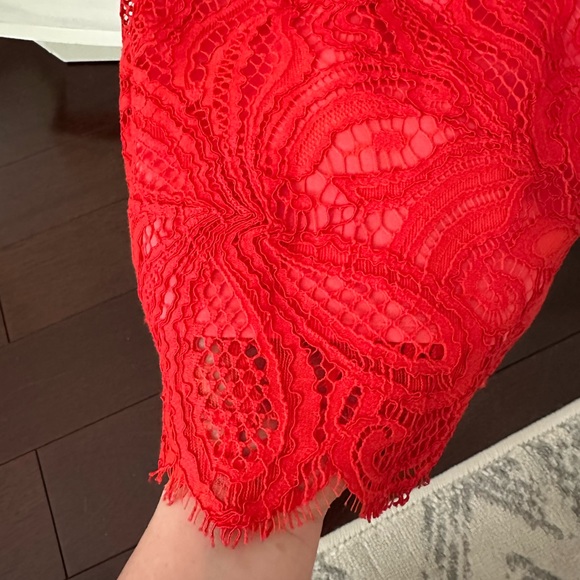 Babaton Henry Dress Lace - Picture 8 of 8